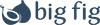Image showing Big Fig logo