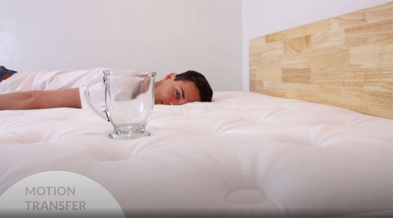 Winkbed Plus motion transfer test