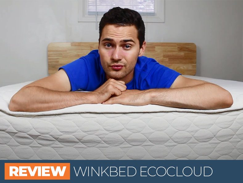 our in depth overview of the winkbed ecocloud bed