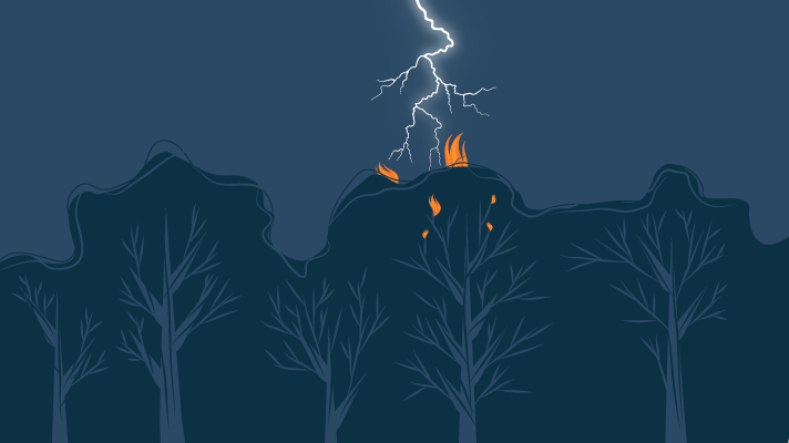 Lightning strike forest and starts fire