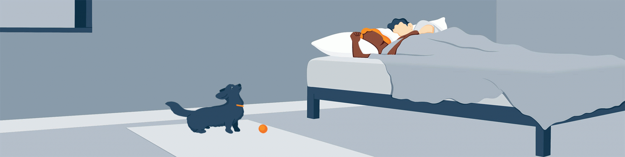 Why is Your Dog Restless at Night and What Can You Do About It? Sleep