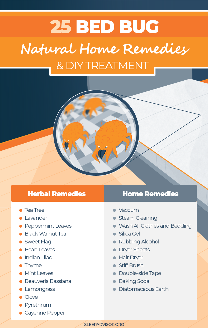 Infographic 25 Bed Bug Natural Home Remedies and DIY Treatment