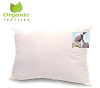 Organic Textiles natural cotton product image  small