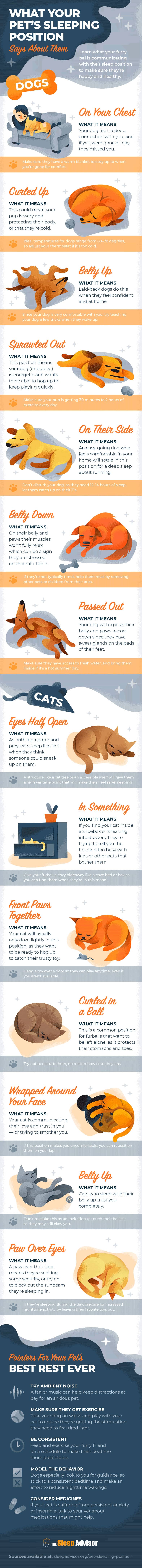 Infographic Showing What Pet's Sleeping Position Tells about Them
