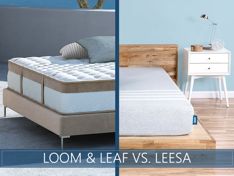 beds compared: loom & leaf and leesa