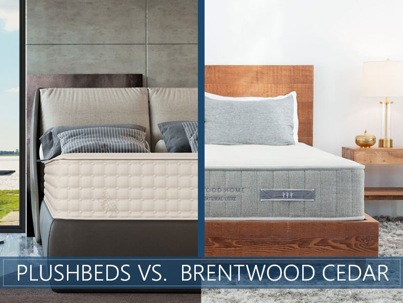 overview of Plushbeds vs Brentwood Cedar
