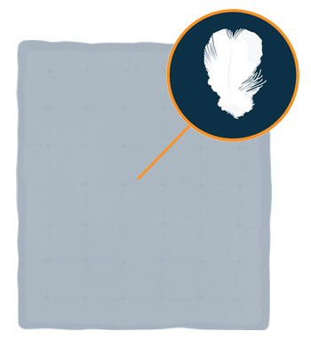 Best Comforter - Top 5 Products Rated by Sleep Experts 11 comforter with duck down filling