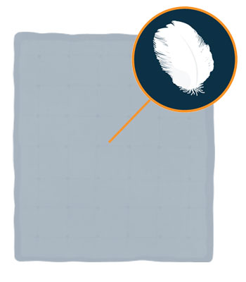 Best Comforter - Top 5 Products Rated by Sleep Experts 12 comforter with goose down filling