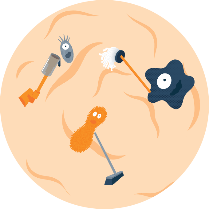Illustration of Microbes Cleaning inside Gut