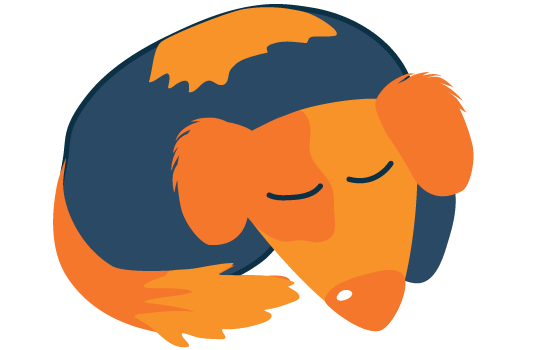 Illustration of a Dog Sleeping
