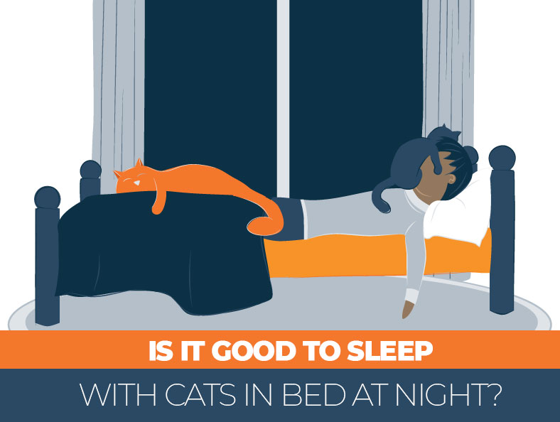Sleeping with cats image