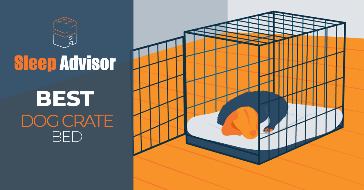 Beds for Dog Crates That Are Both Comfortable & Functional – Furtropolis