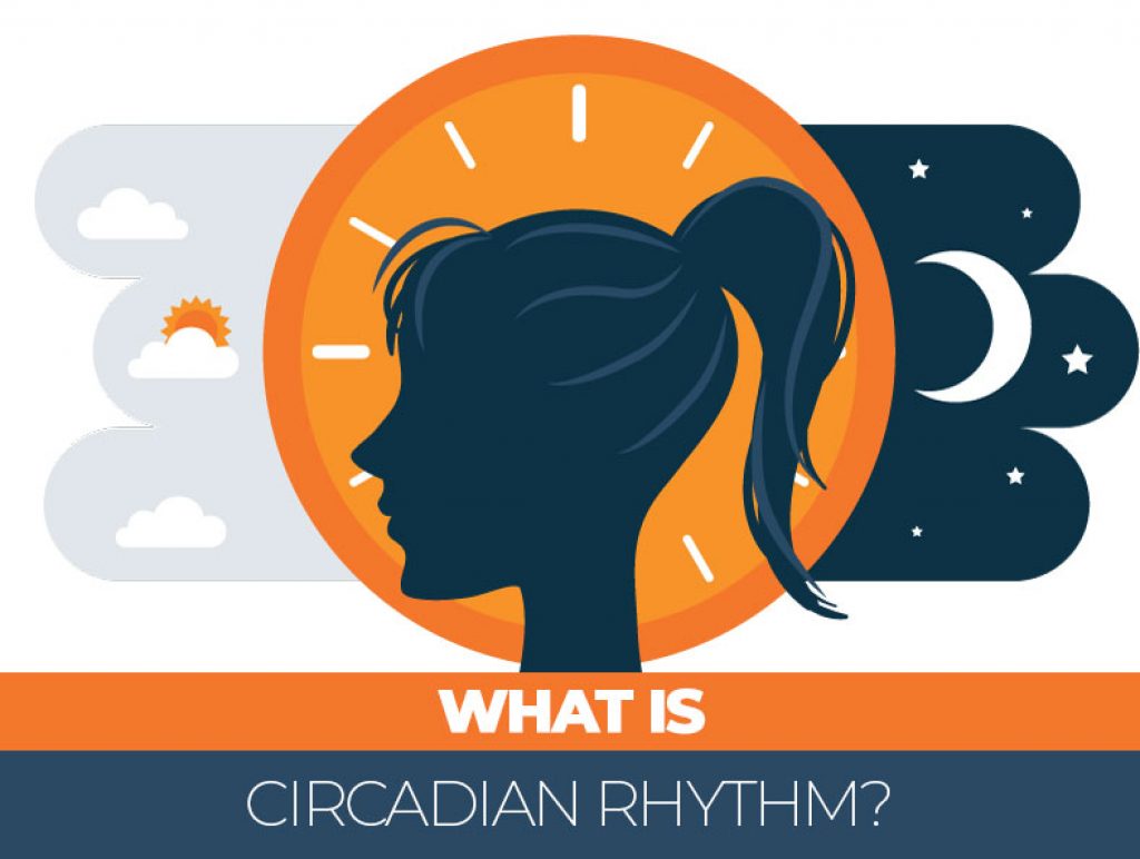 What is Circadian Rhythm