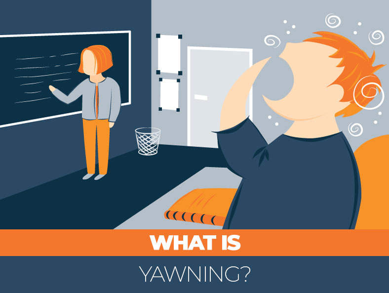 Why Do We Yawn (When Someone Else Yawns)? Sleep Advisor