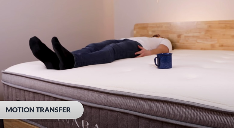 testing the motion transfer on Awara bed