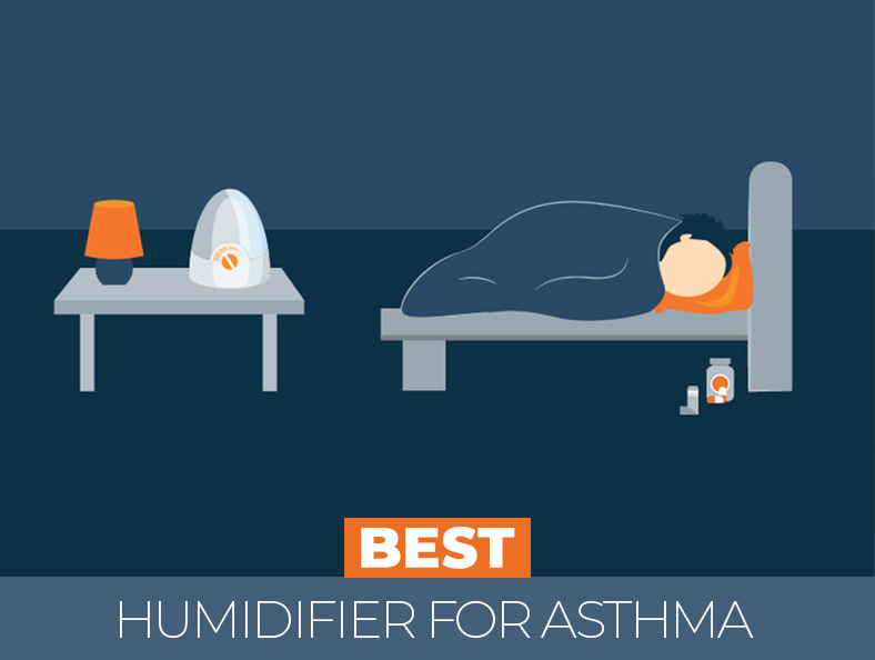 Our in depth the best humidifiers for asthma