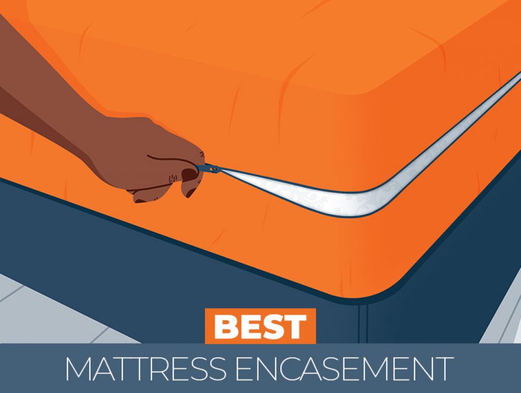 cheap bed bug mattress encasement