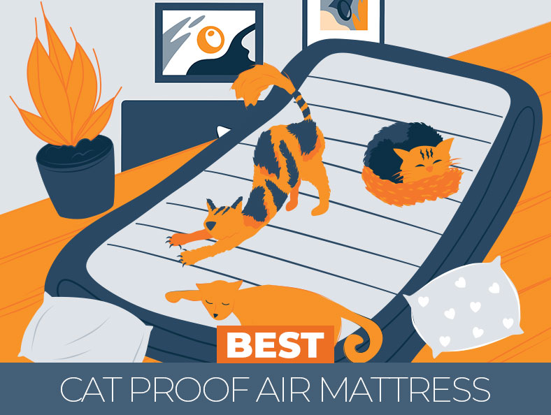 Highest Rated Cat Proof Air Mattress
