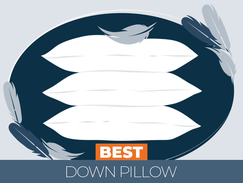 Highest Rated Down Pillow Reviewed