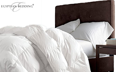 Product Image of Egyptian Bedding Down Comforter