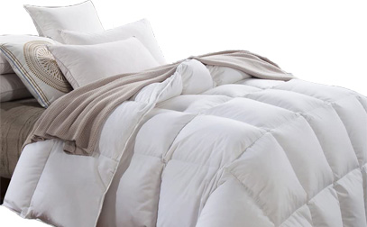 Product Image of Royalay Down Comforter