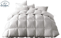 Small Product Image of Globon Down Comforter