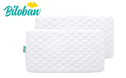  ROYGROW Baby Mattress Protector Crib Waterproof Crib Mattress  Cover, Flat Fit Crib Sheet Protector Pad, Baby Crib Liner Reusable  Incontinence Pad Mat for Adults, Elderly and Pets, 27 X 39(Pack of