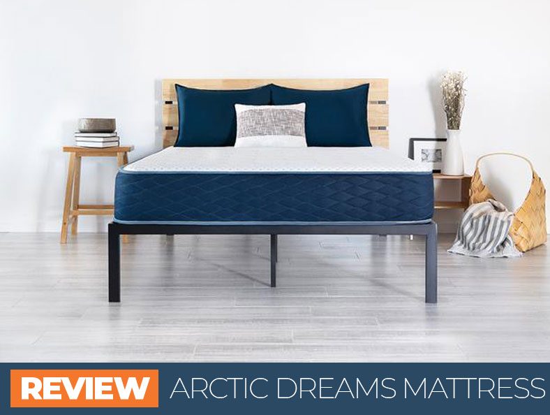 our arctic dreams overview