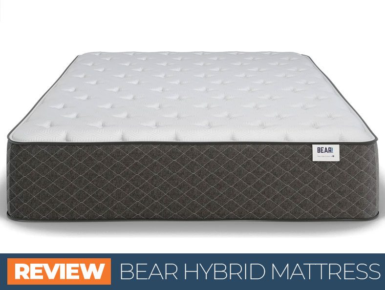our full bear hybrid overview