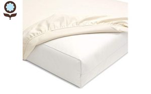 Naturepedic Organic Latex Mattress Topper