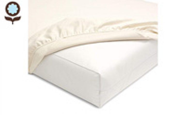 https://www.sleepadvisor.org/wp-content/uploads/2020/11/product-image-of-Naturepedic-Organic-Waterproof-Baby-Crib-Mattress-Protector-Pad-small-768x476.jpg