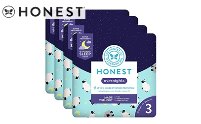 product image of The Honest Company Overnight Diapers