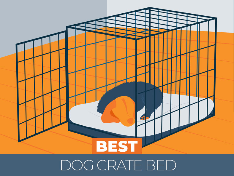 highest rated dog crate beds
