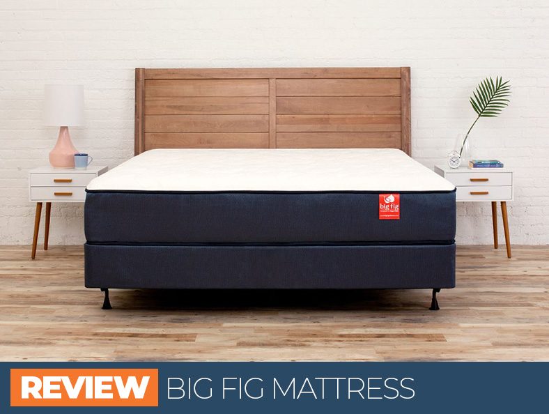 our review of big fig bed