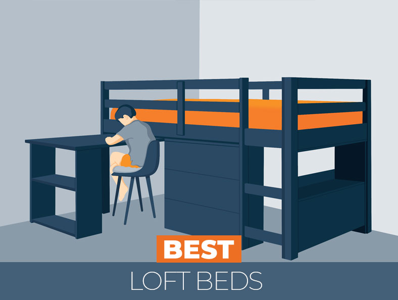top rated loft beds