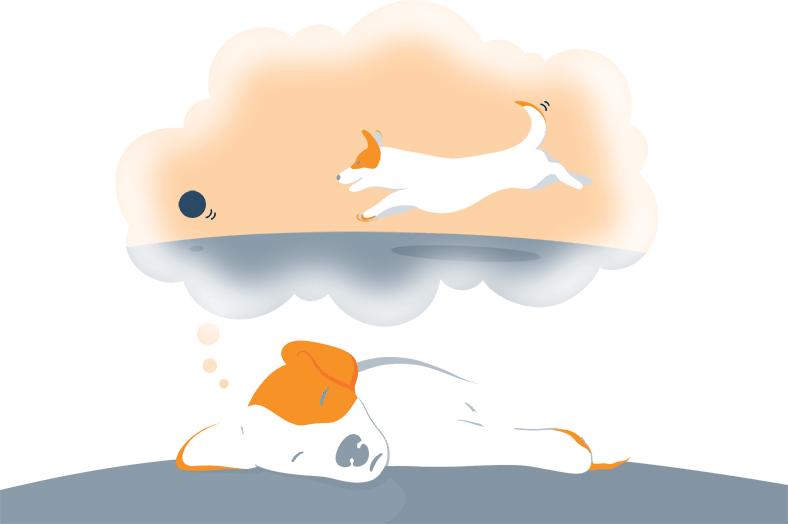Illustration of a Sleeping Dog Dreaming