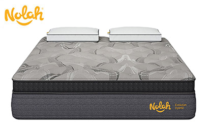 Nolah Bed Evolution Product Image