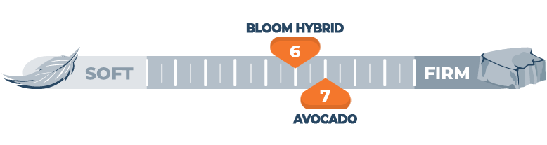 firmness scale for avocado and bloom hybrid
