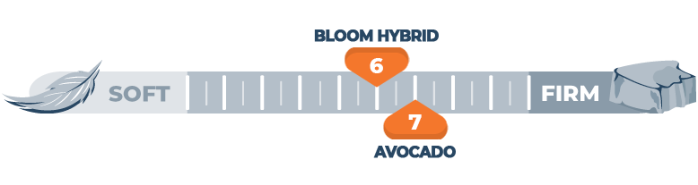firmness-scale-for-avocado-and-bloom-hybrid firmness scale for avocado and bloom hybrid
