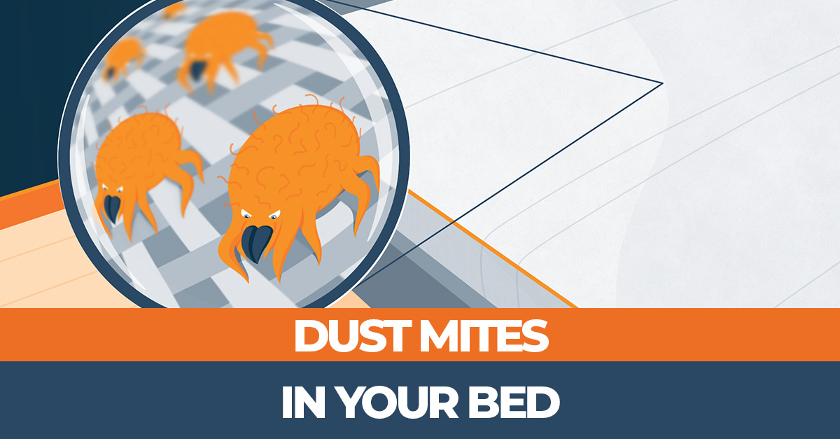 Dust Mites in Bed How to Kill and Prevent Mites In Your Bed