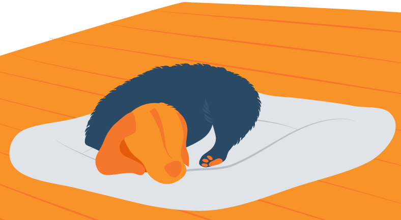 Illustration of a Dog- Sleeping in Their Bed