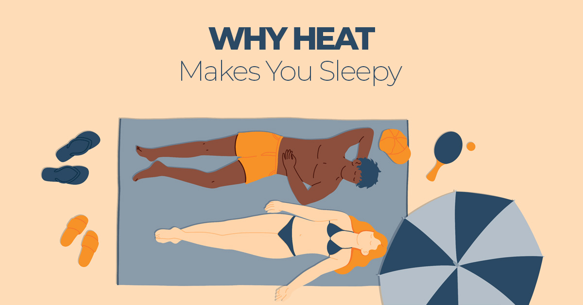 Why Heat Makes You Sleepy