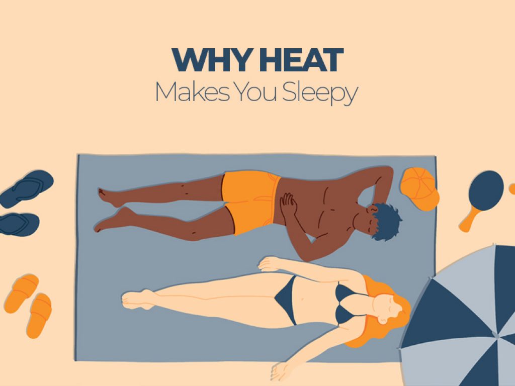 Why Heat Makes you Sleepy