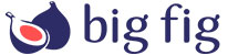 Big Fig Logo Big Fig Logo