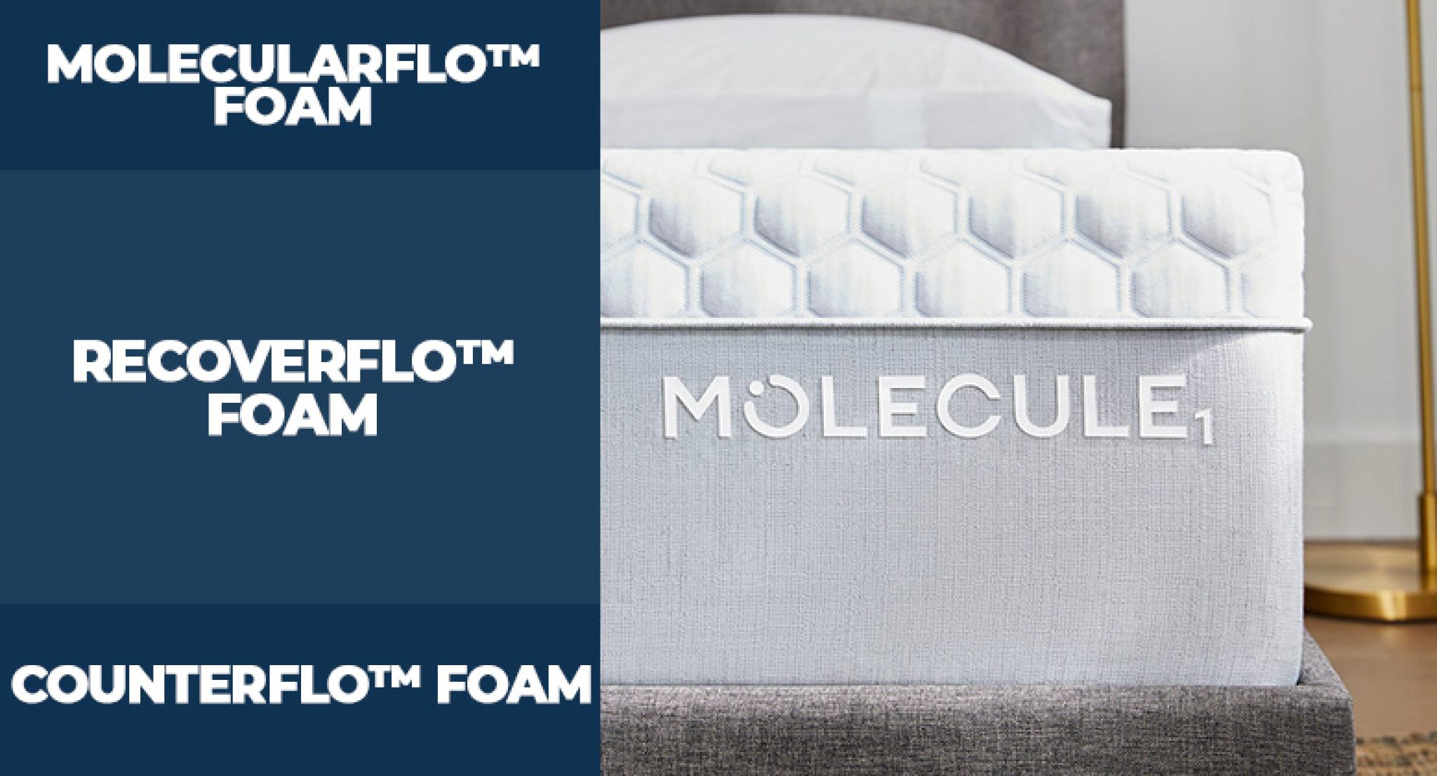 Molecule Bed Review (Expert Review) Sleep Advisor