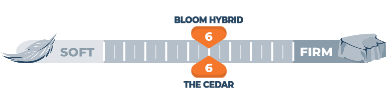 firmness scale for bloom hybrid and the cedar bed