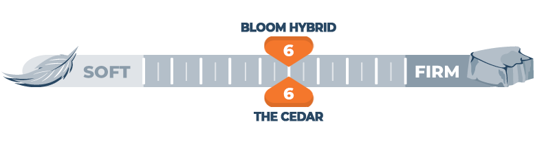 firmness-scale-for-bloom-hybrid-and-the-cedar-bed firmness scale for bloom hybrid and the cedar bed