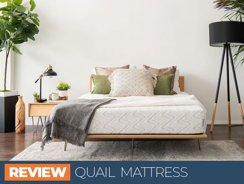 our overview of quail bed