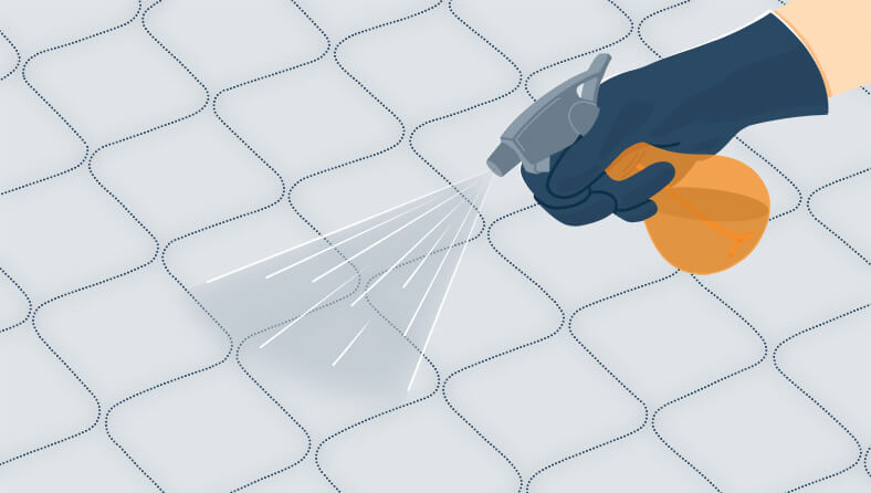 Cleaning Mattress with a Spray Cleaning Mattress with a Spray