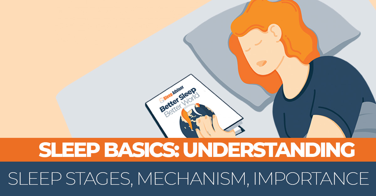 Sleep Basics Understanding Sleep Stages, Mechanism, Importance